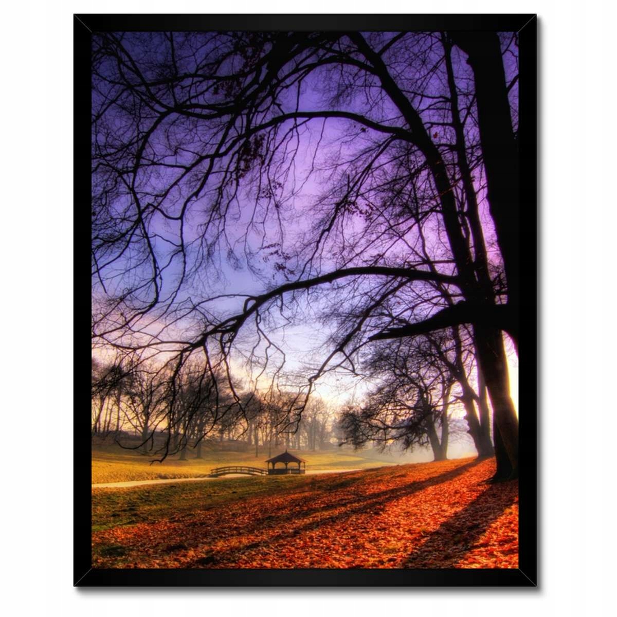 Plakáty v rámu 40x50 Park v Wąsowie