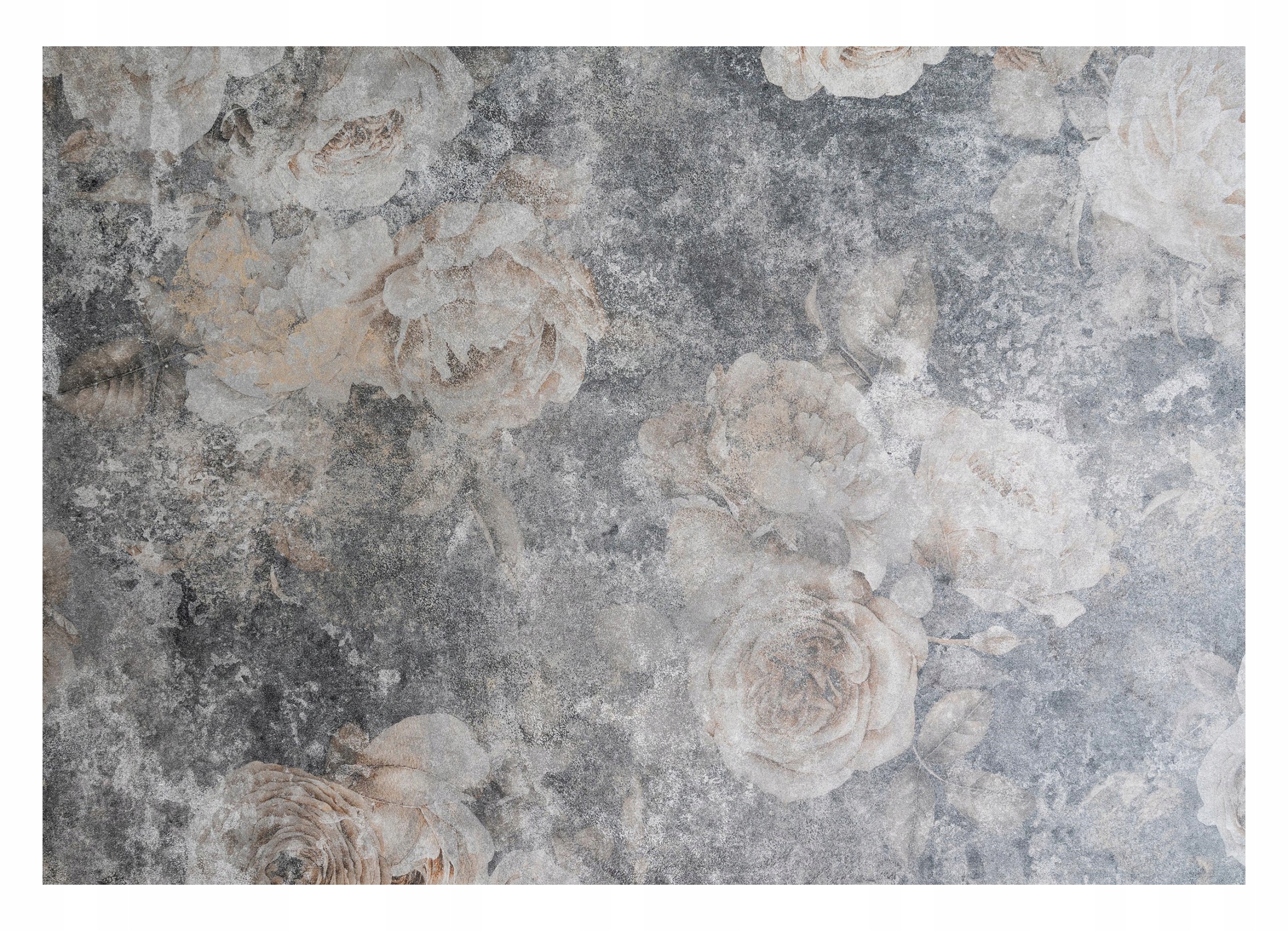 Fototapeta Květiny Beton Vintage Retro Zeď 312x219