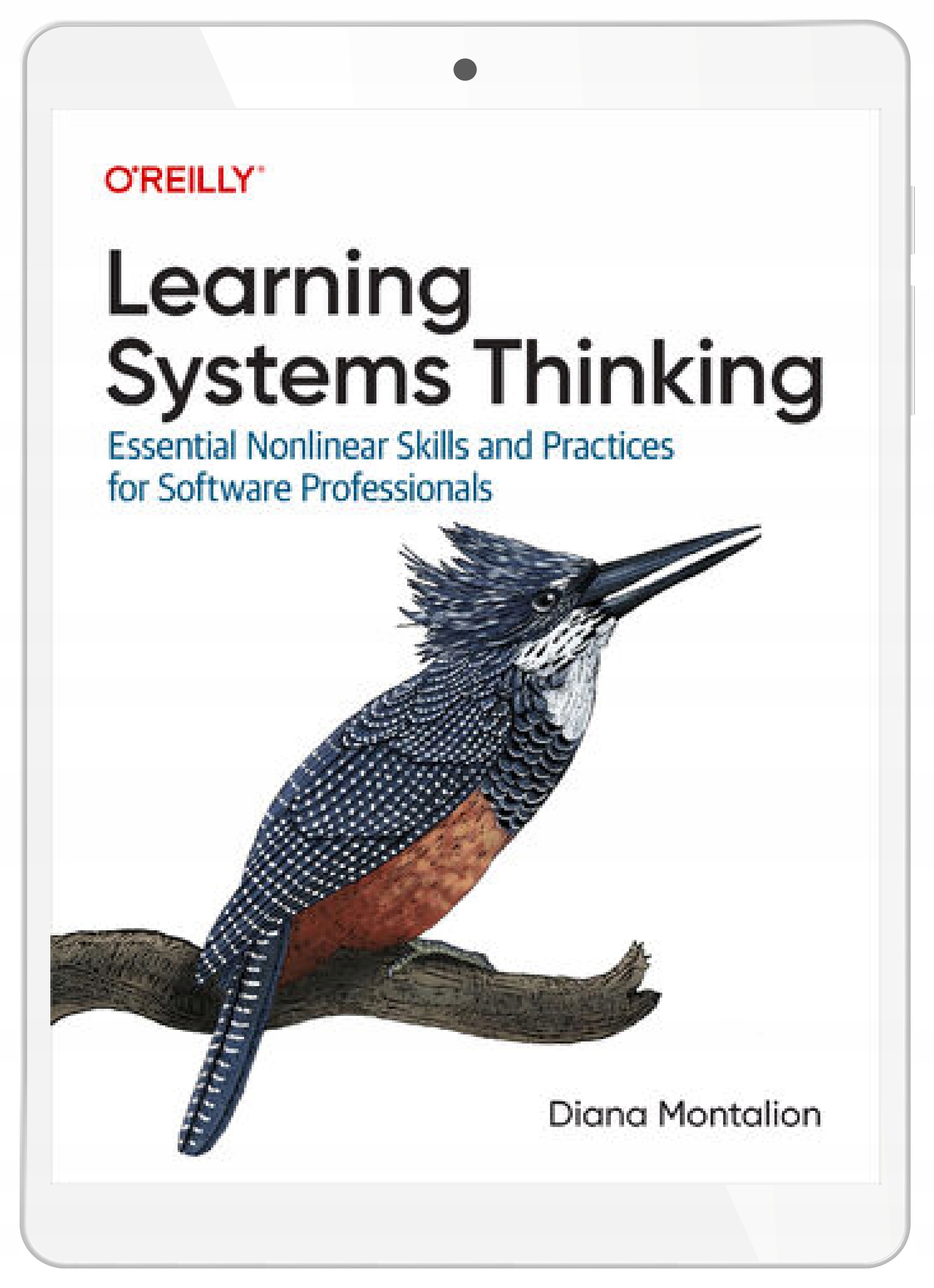 Learning Systems Thinking