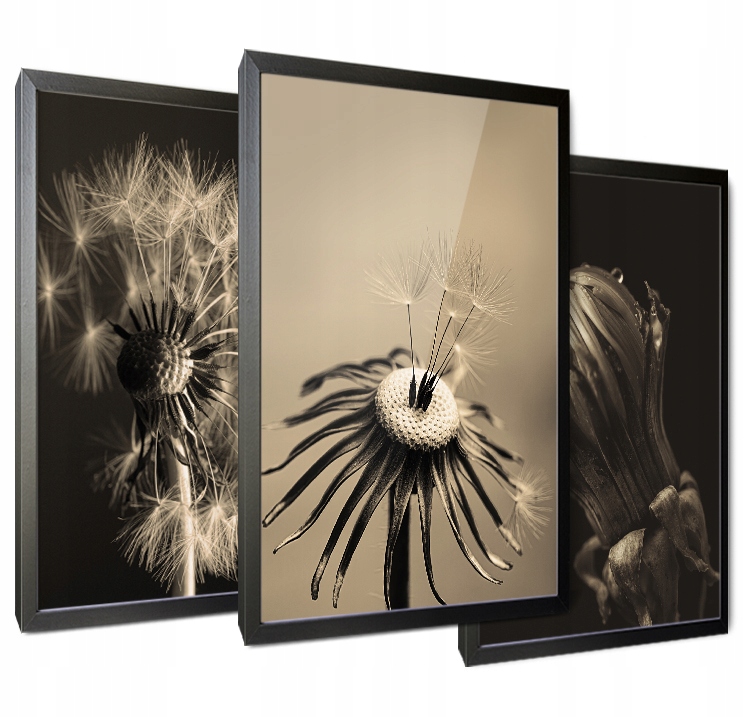 

Tryptyk Obrazy do salonu pokoju Tropic W6
