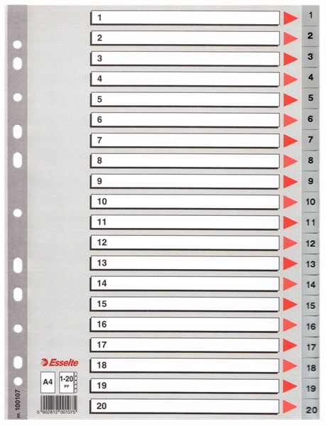 

Przekładki Pp A4 Esselte 1-20 szare 100107