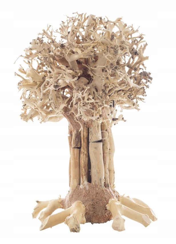 Levně Bonsai Tree Bt7M 20x15x25 cm