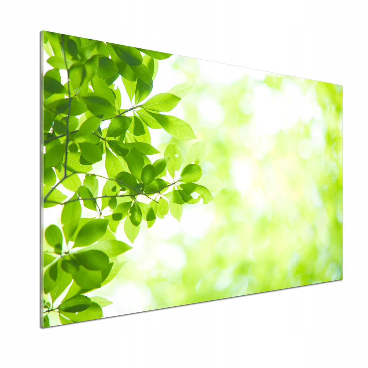 Sklenený panel do kuchyne Listy 100 x 70 cm Lepidlo