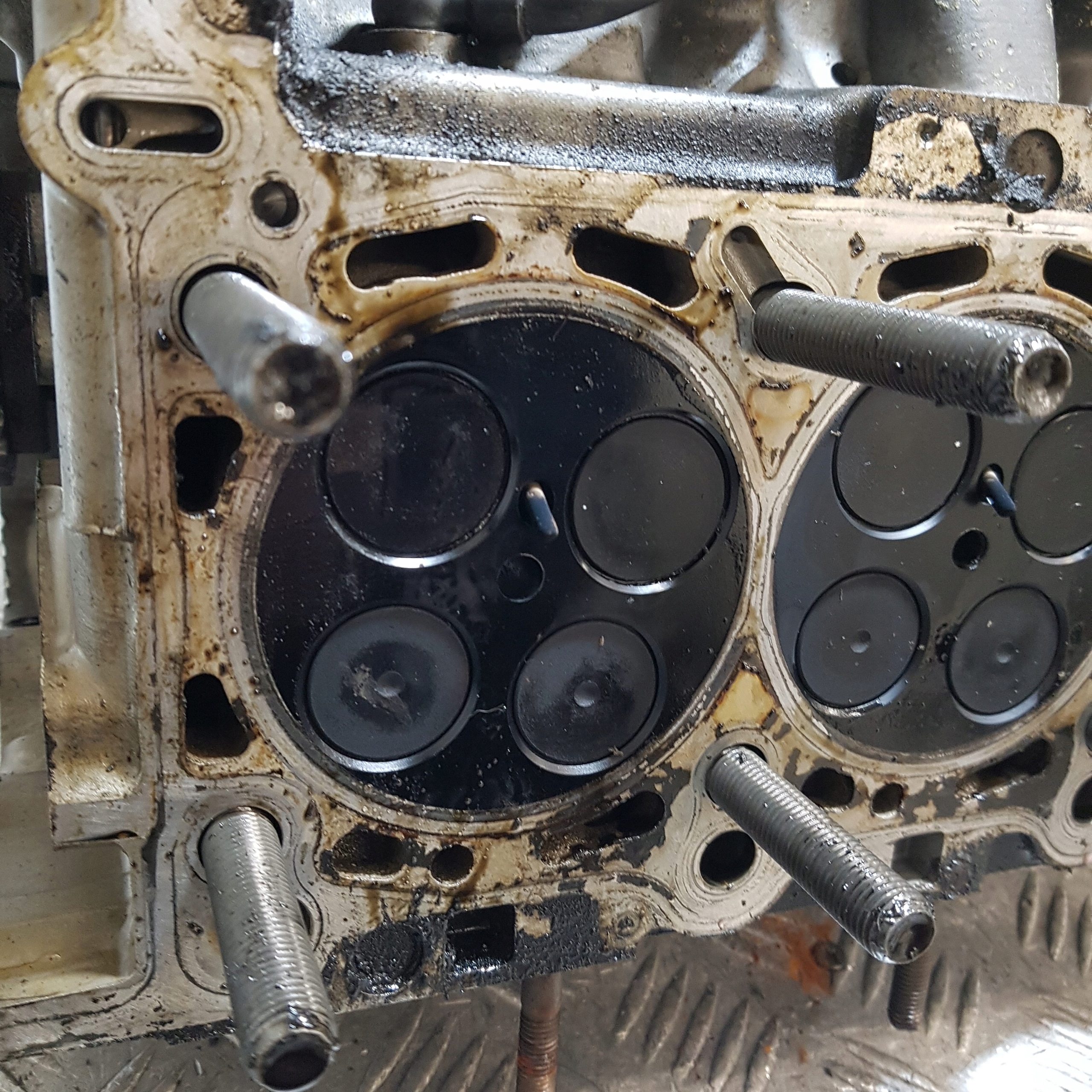 head. complete AUDI A6-C6 left 3.0 TDI 0593AG