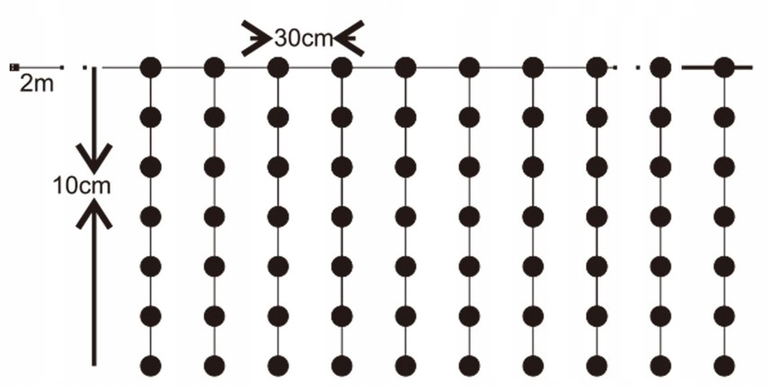 Kurtyna świetlna 300 LED 3x3m Girlanda Lampki drucik Białe zimne Pilot Cechy dodatkowe wodoodporność