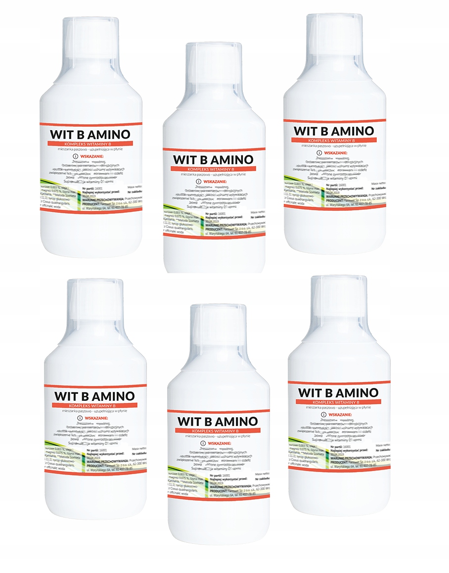 Witamina WIT B AMINO dla drobiu kur 6 x 250 ml