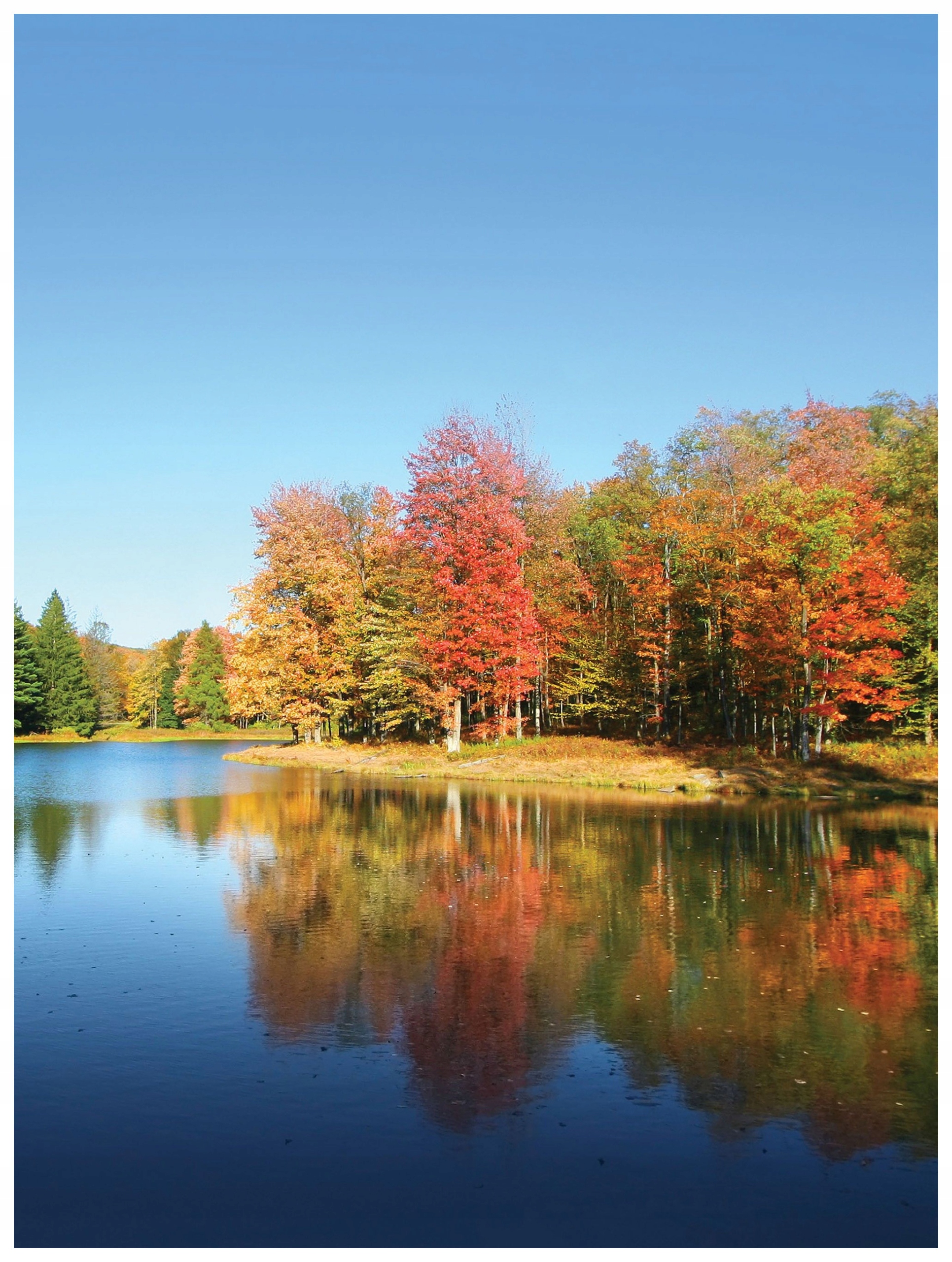 Tapeta Podzimní jezero krajina 206x275 Stromy odraz světle modrá obloha lepidlo