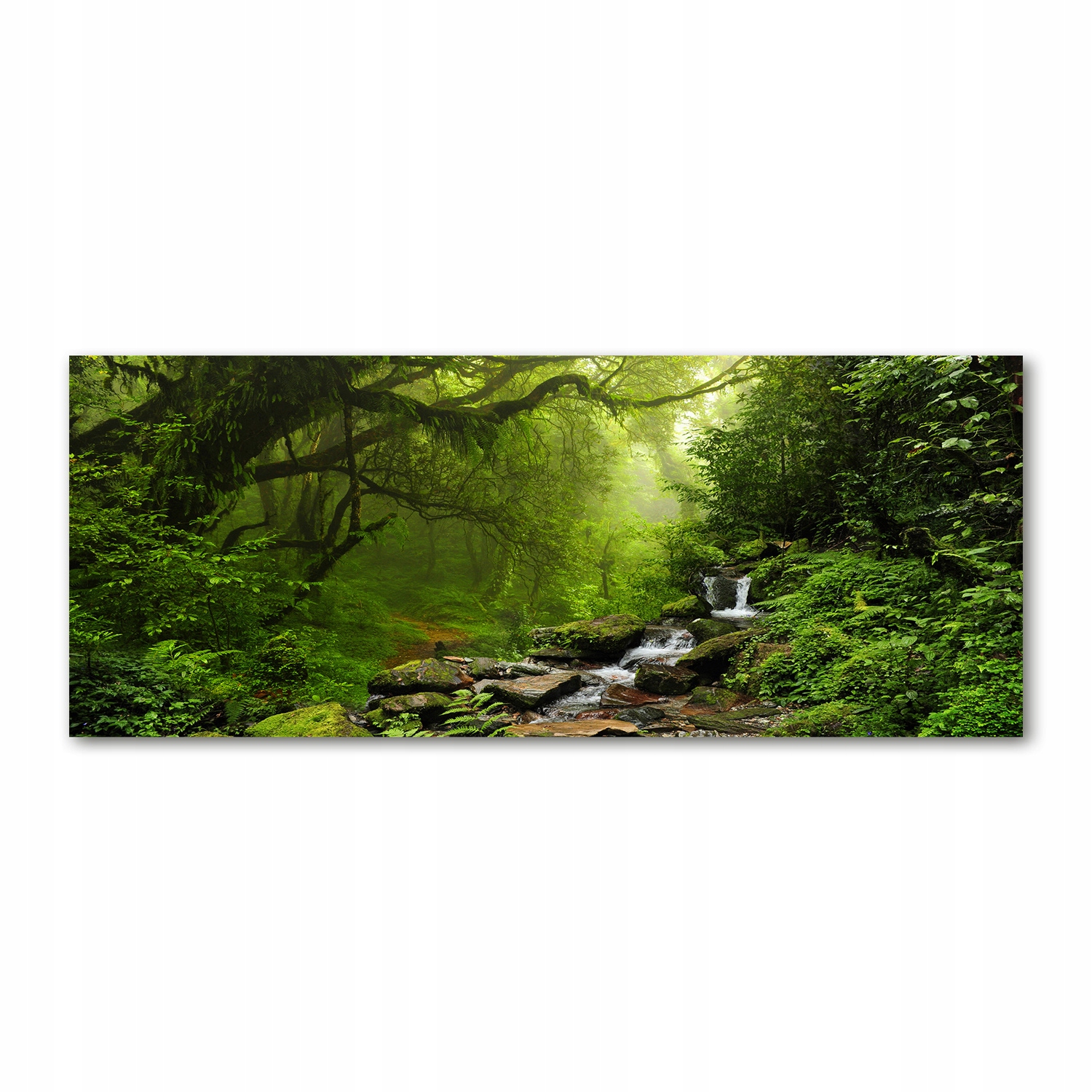 

Foto obraz szkło akryl Dżungla w Nepalu 125x50 cm