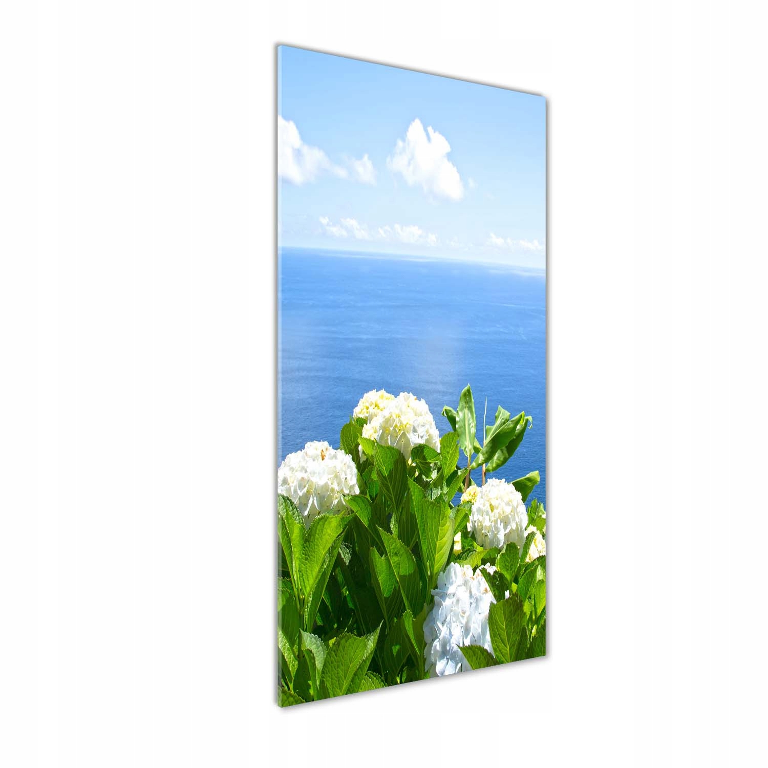 

Foto obraz na szkle pionowy Hortensja morze 50x125