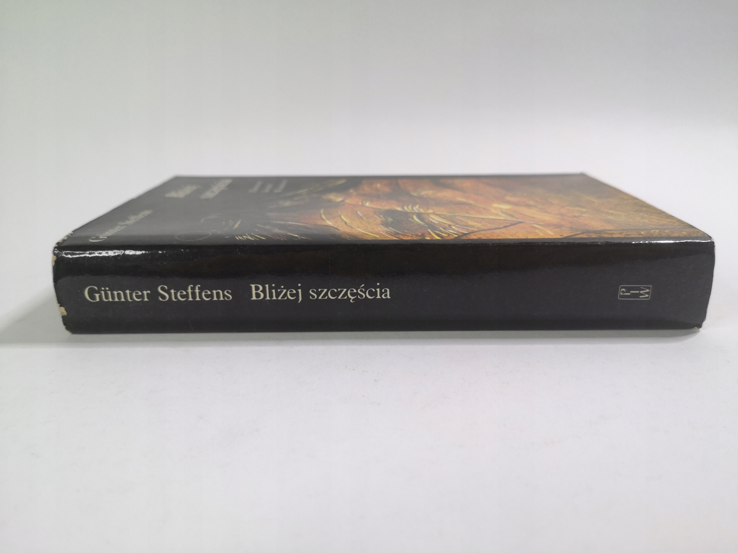 BLIŻEJ SZCZĘŚCIA GUNTER STEFFENS ISBN 8605133114420