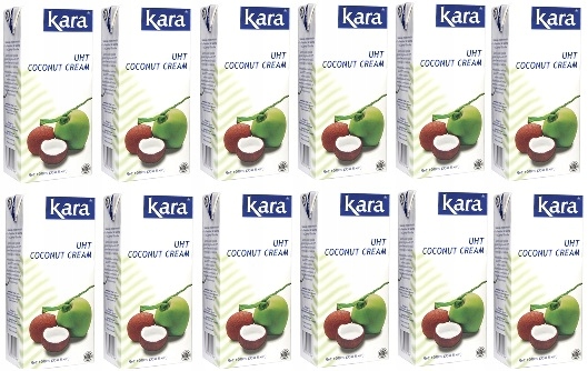 12x 1000ml Kara Krem kokosowy 23-26% Uht Karton