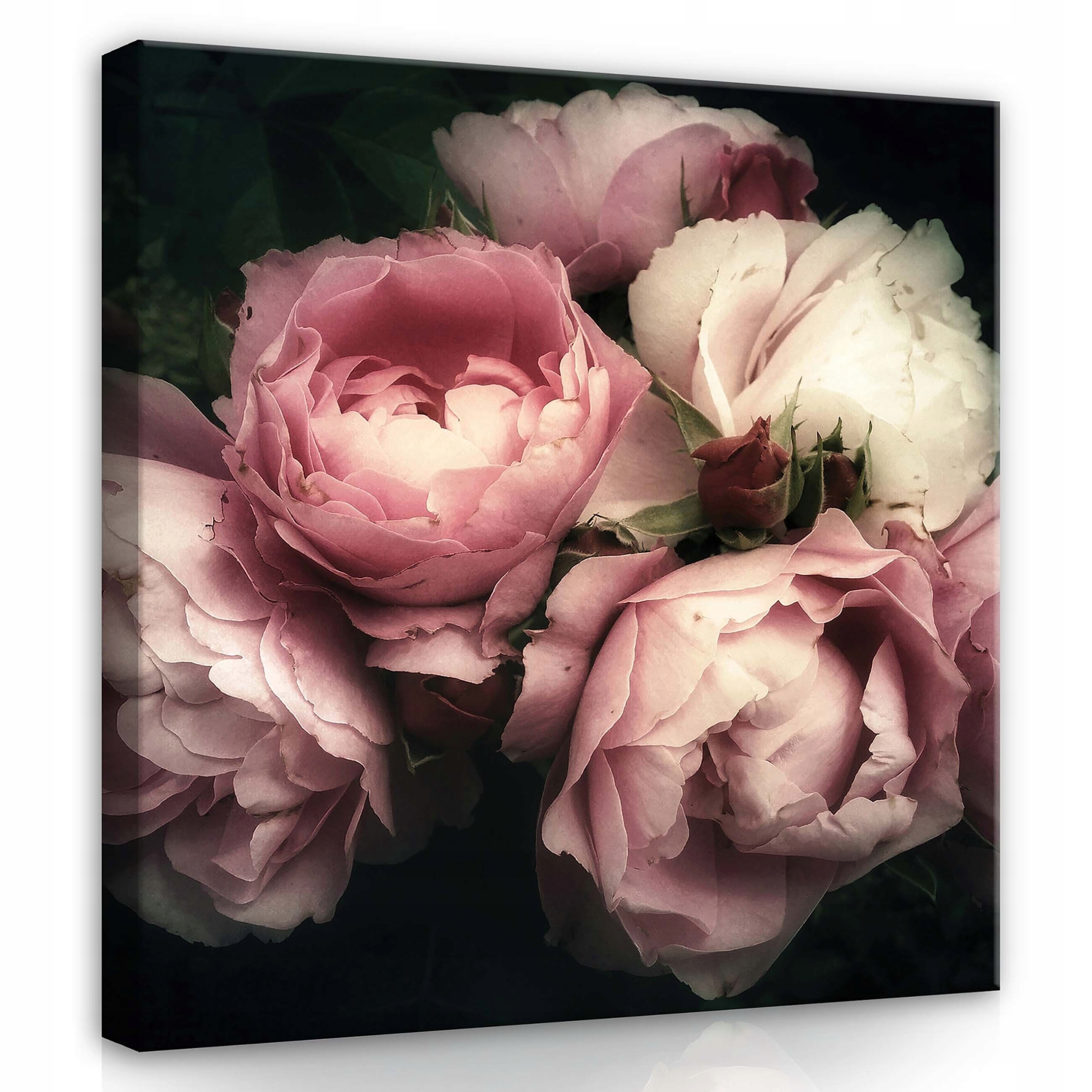 Obraz 80x80 Pivoňky květy pupeny jemnost romantismus melancholie klid
