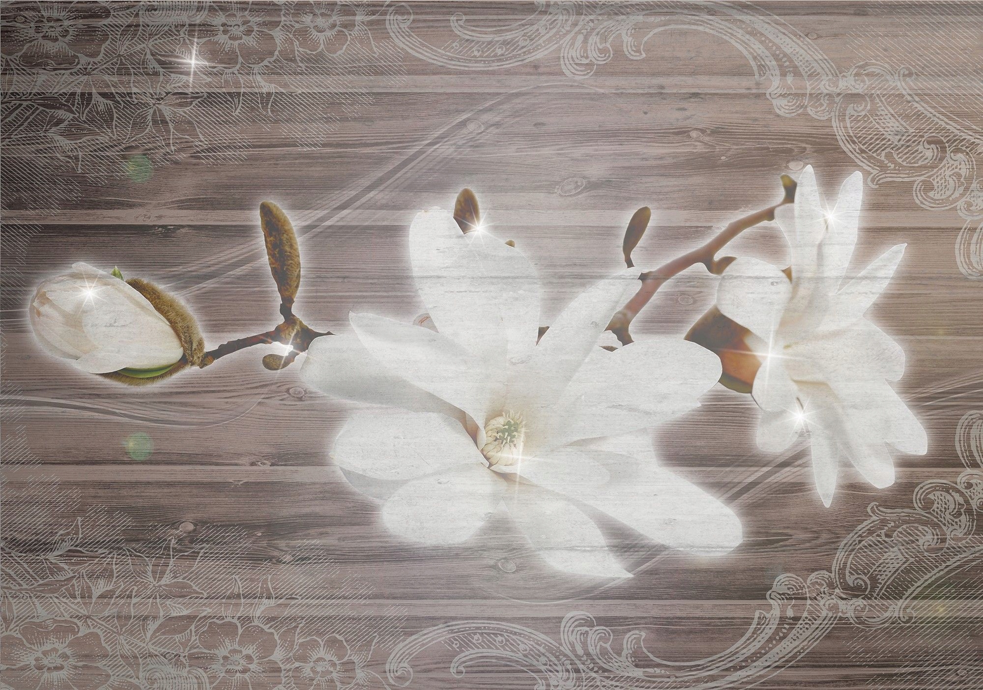 Fototapeta Magnolie na dřevě jemnost a elegance 208x146 lepidlo
