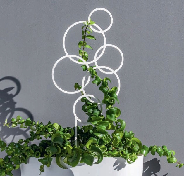 Plastikowa podpora okręgi bezbarwny drabinka Rodzaj drabinka