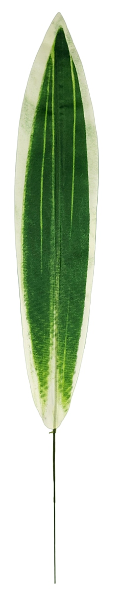 LIŚĆ DRACENA JASNA KWIATY SZTUCZNE LIŚCIE dodatek Kod producenta LIŚĆ DRACENA JASNA