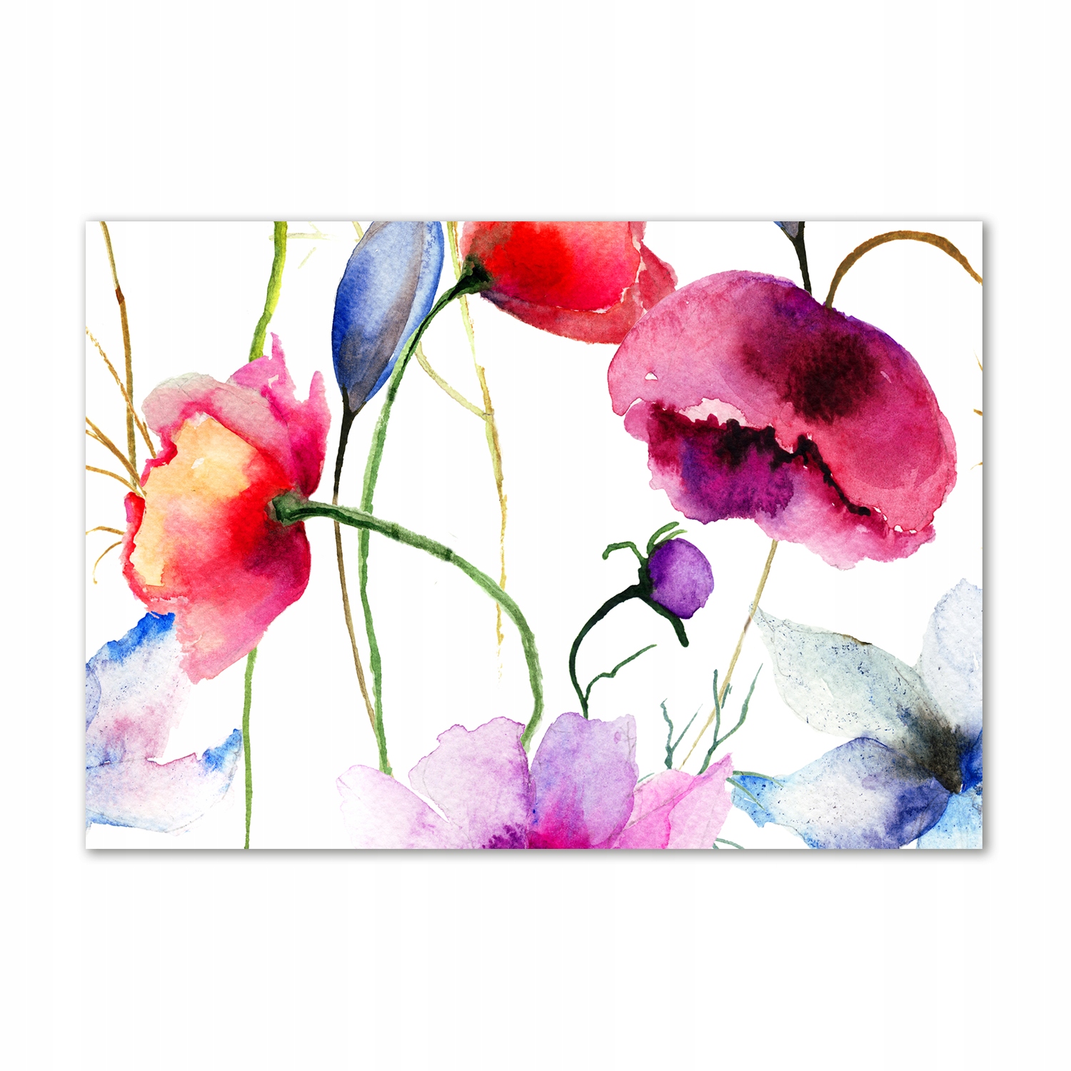 

Obraz zdjęcie na ścianę szkło akrylowe Maki 100x70