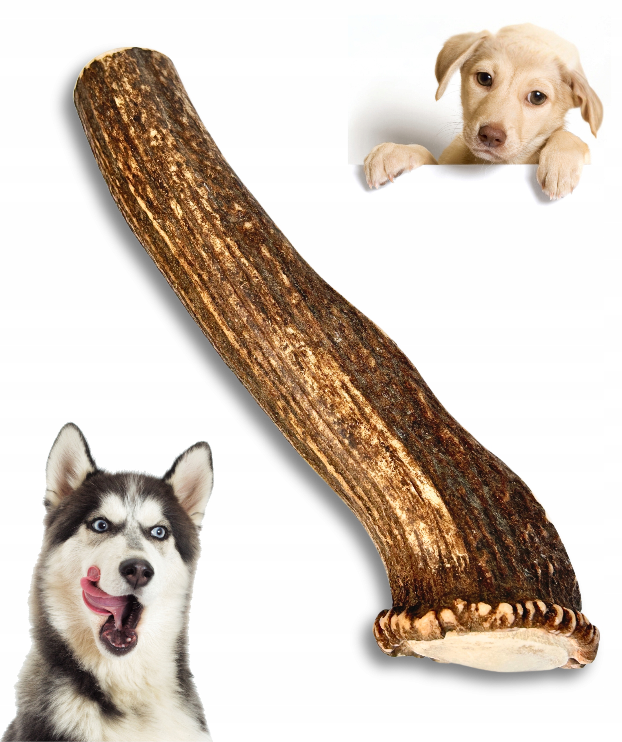 Levně Kousátko z jeleního paroží pro psa XXL Hard přírodní