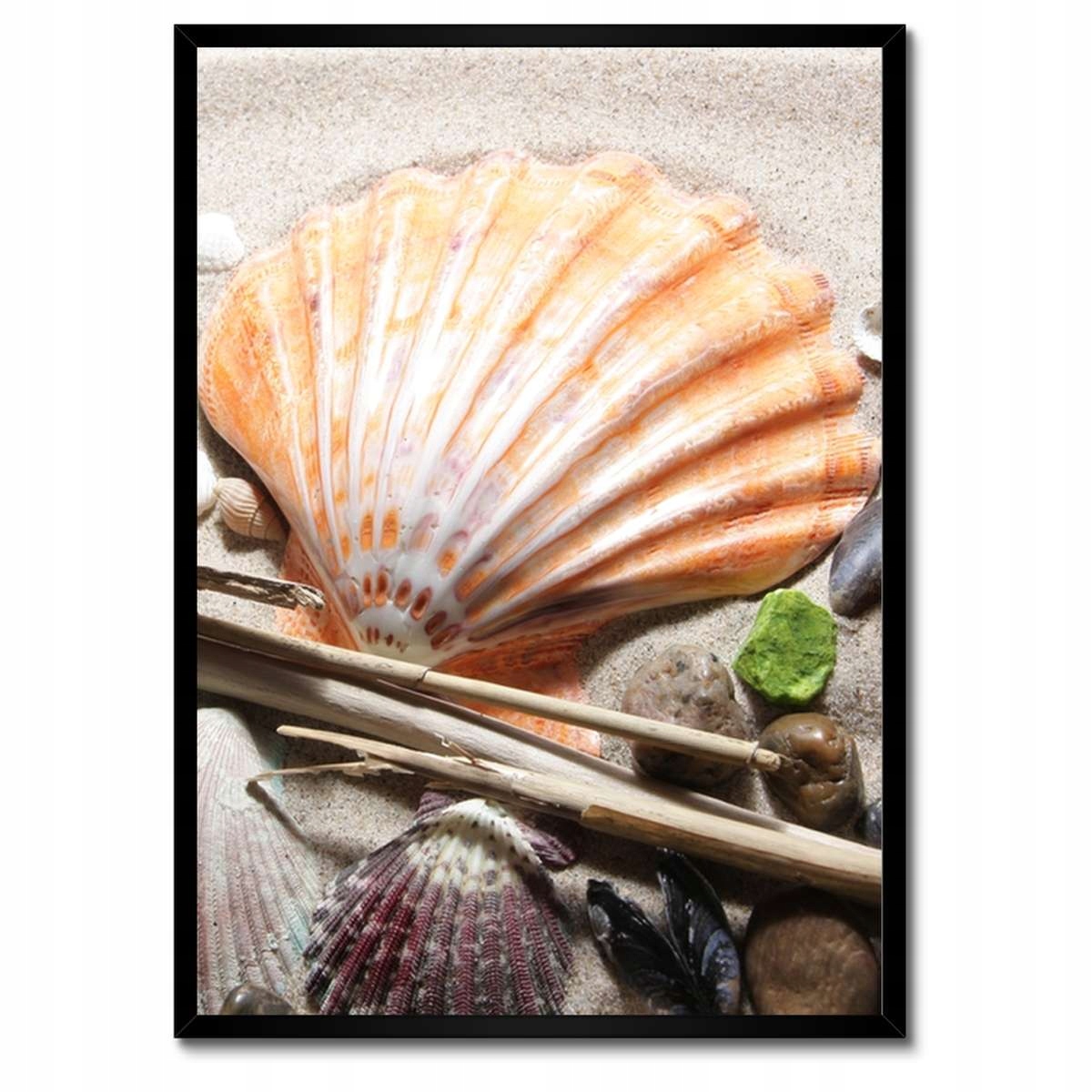 Plakáty v rámu 50x70 Mušle z baltské pláže