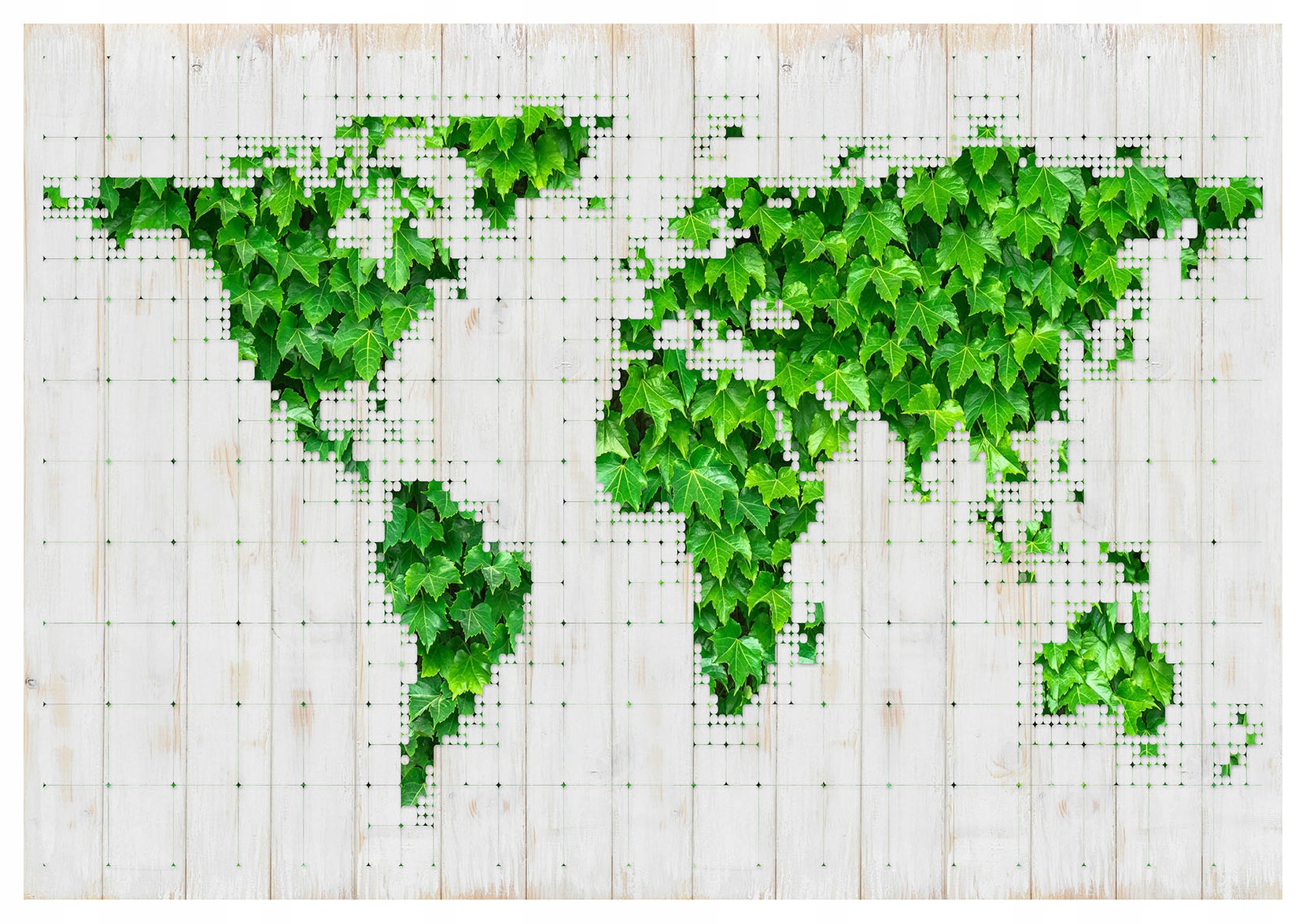 Fototapeta Mapa světa z břečťanu na vinylovém dřevě 254x184 lepidlo