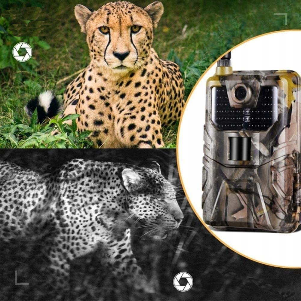 Fotopułapka Kamera Leśna 4G LTE FullHD 44xIR MMS 20MP WODOODPORNOŚĆ IP66 Rozdzielczość 20 Mpx