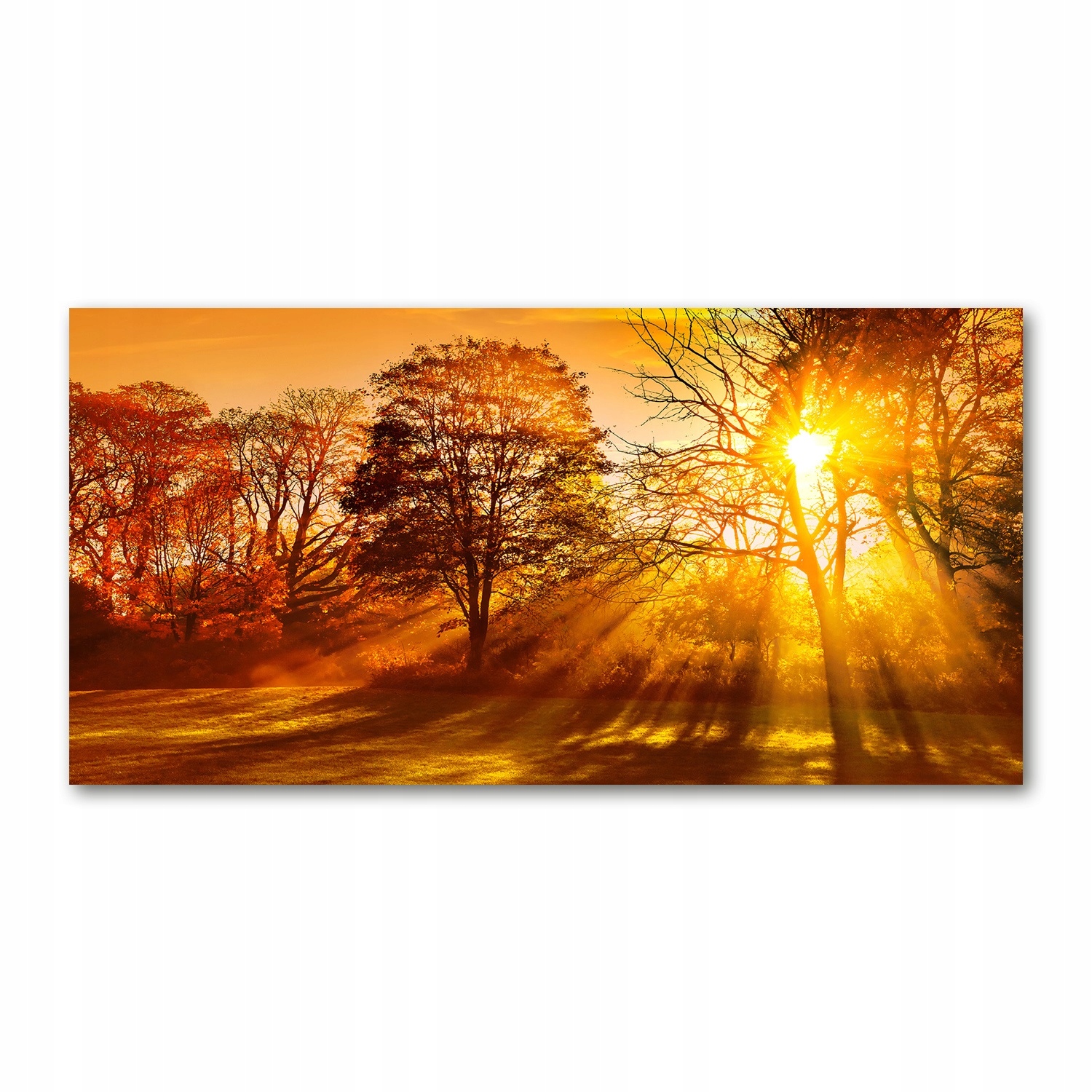 

Foto-obraz akryl Zachód słońca zdjęcie 140x70 cm