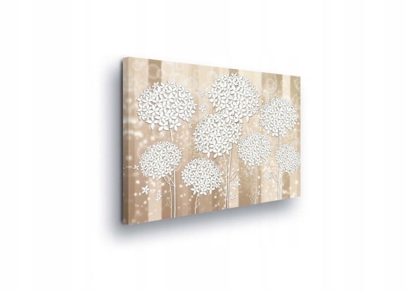 Obraz 80x60 Jemnost lehkost květiny foukače jaro světlo lesk