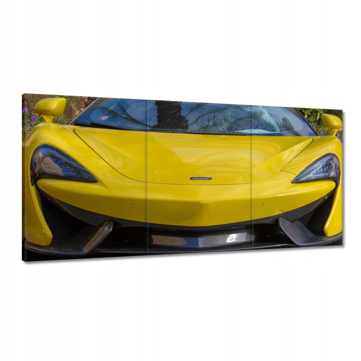 Obrazy 180x90 Auto Vozidlo