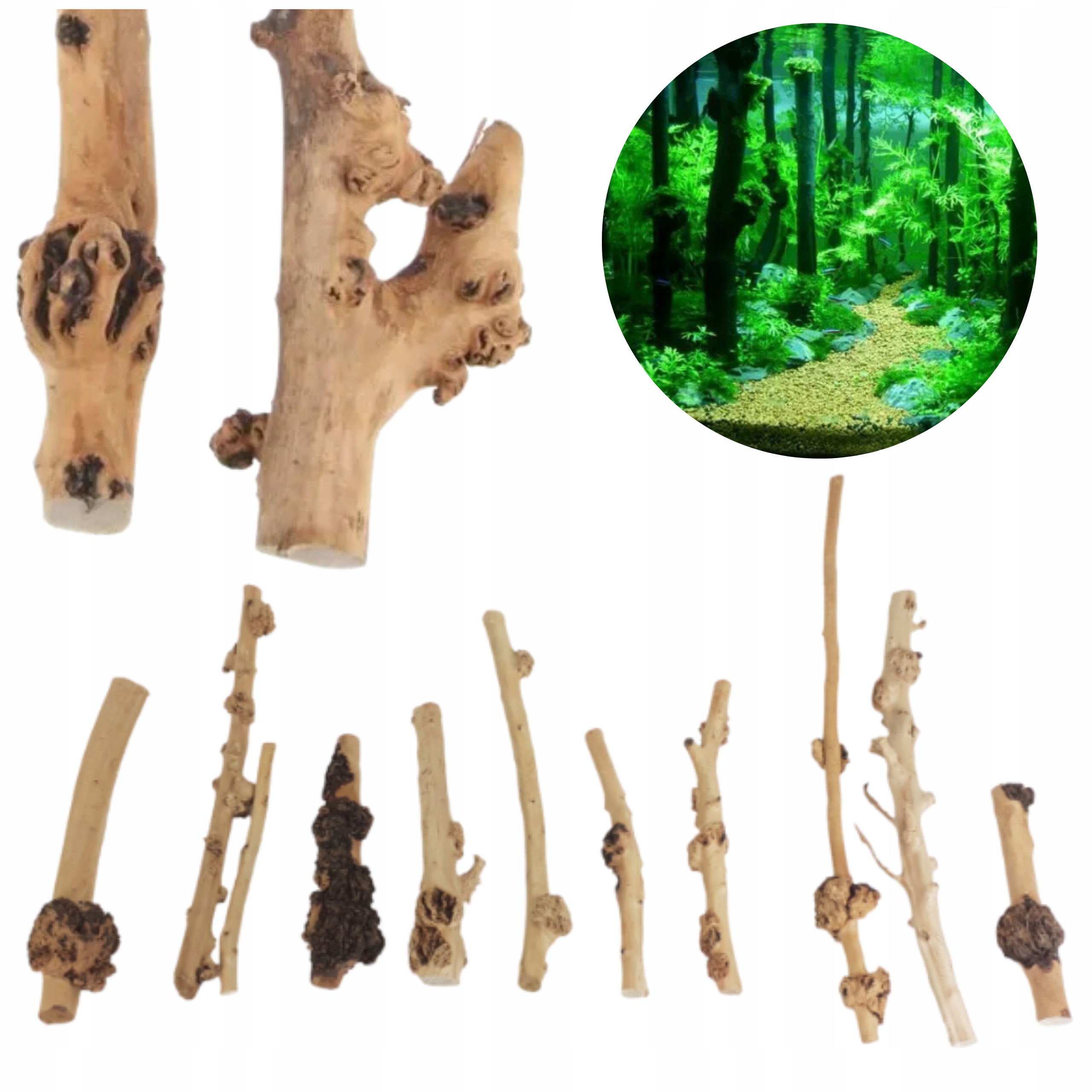 Levně Kořen Do Akvária Tall Wood Set 10 Ks 20-50 CM