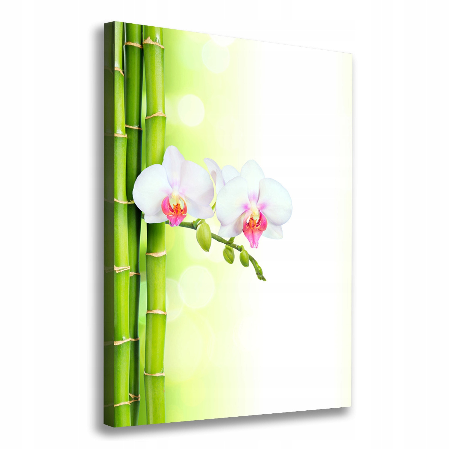 

Foto obraz na płótnie Orchidea i bambus 70x100 cm