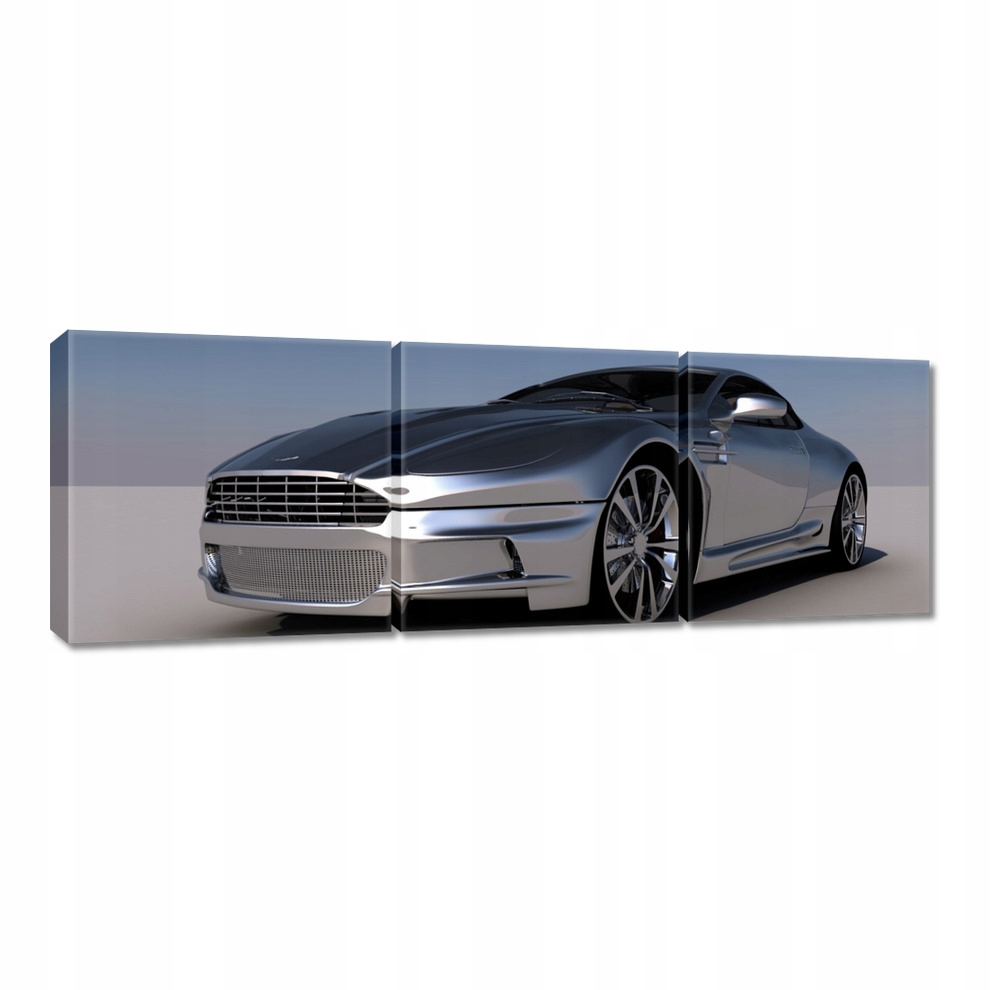 

Obrazy 60x20 Srebrny Aston Martin