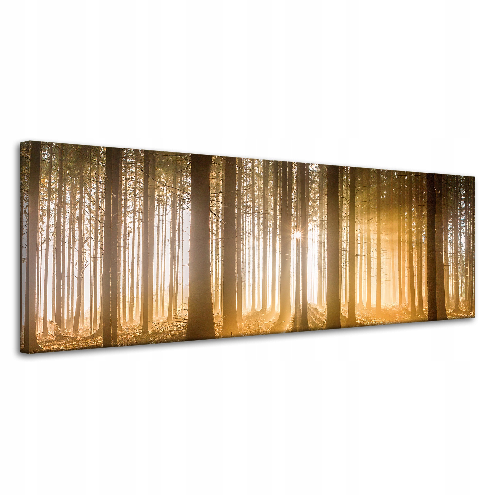 Obraz na plátně Slunce v lese Světlo Stromy 120x40 cm Ideální jako dárek
