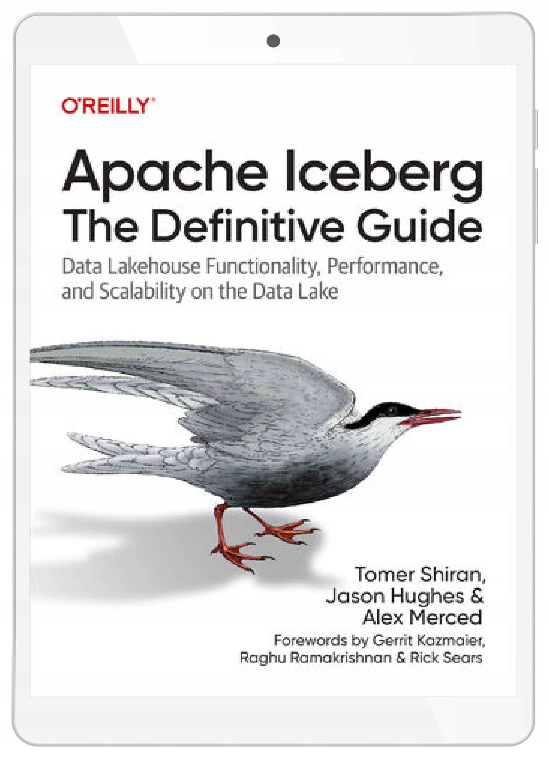 Apache Iceberg: The Definitive Guide