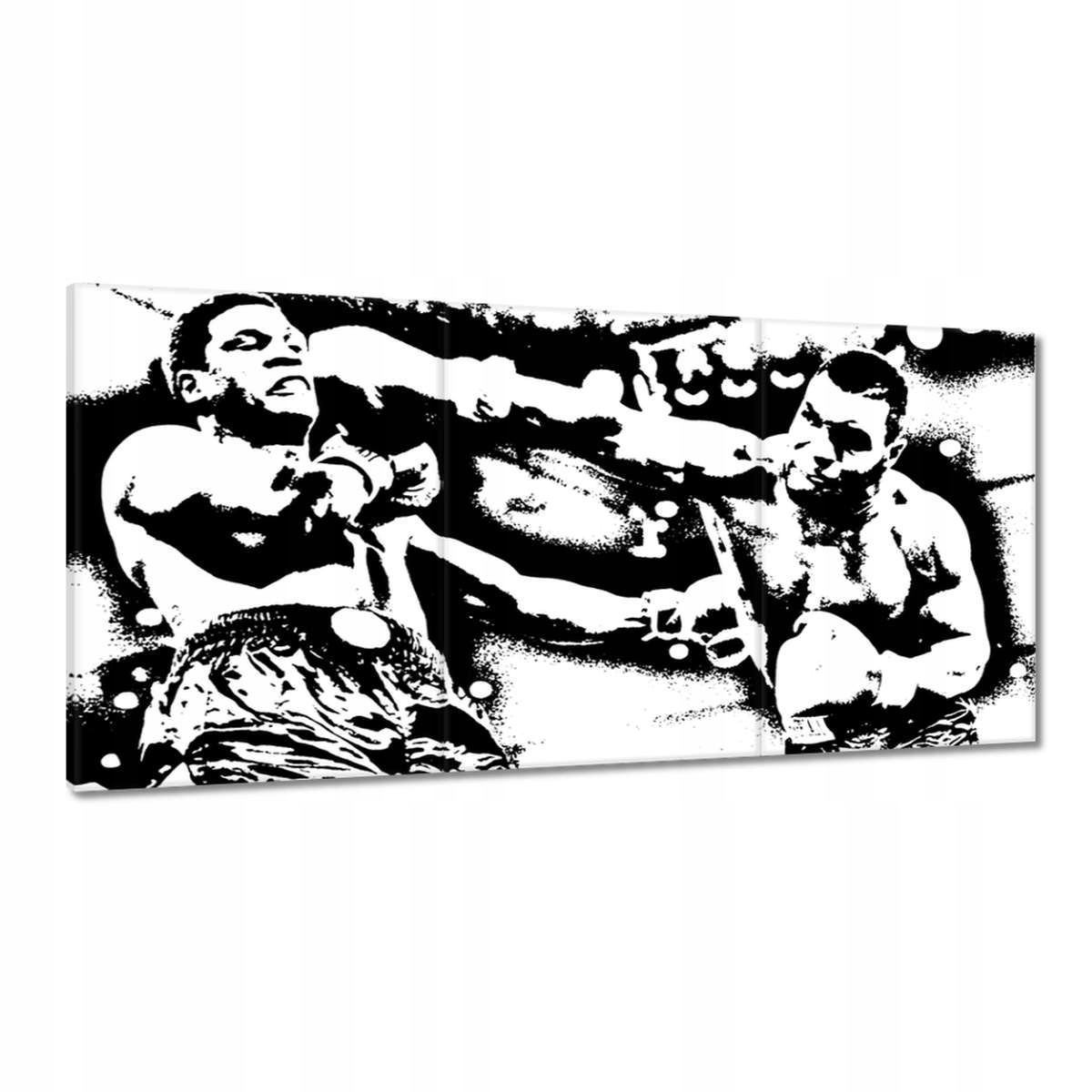 Obrazy 180x90 Mike Tyson Box Boj
