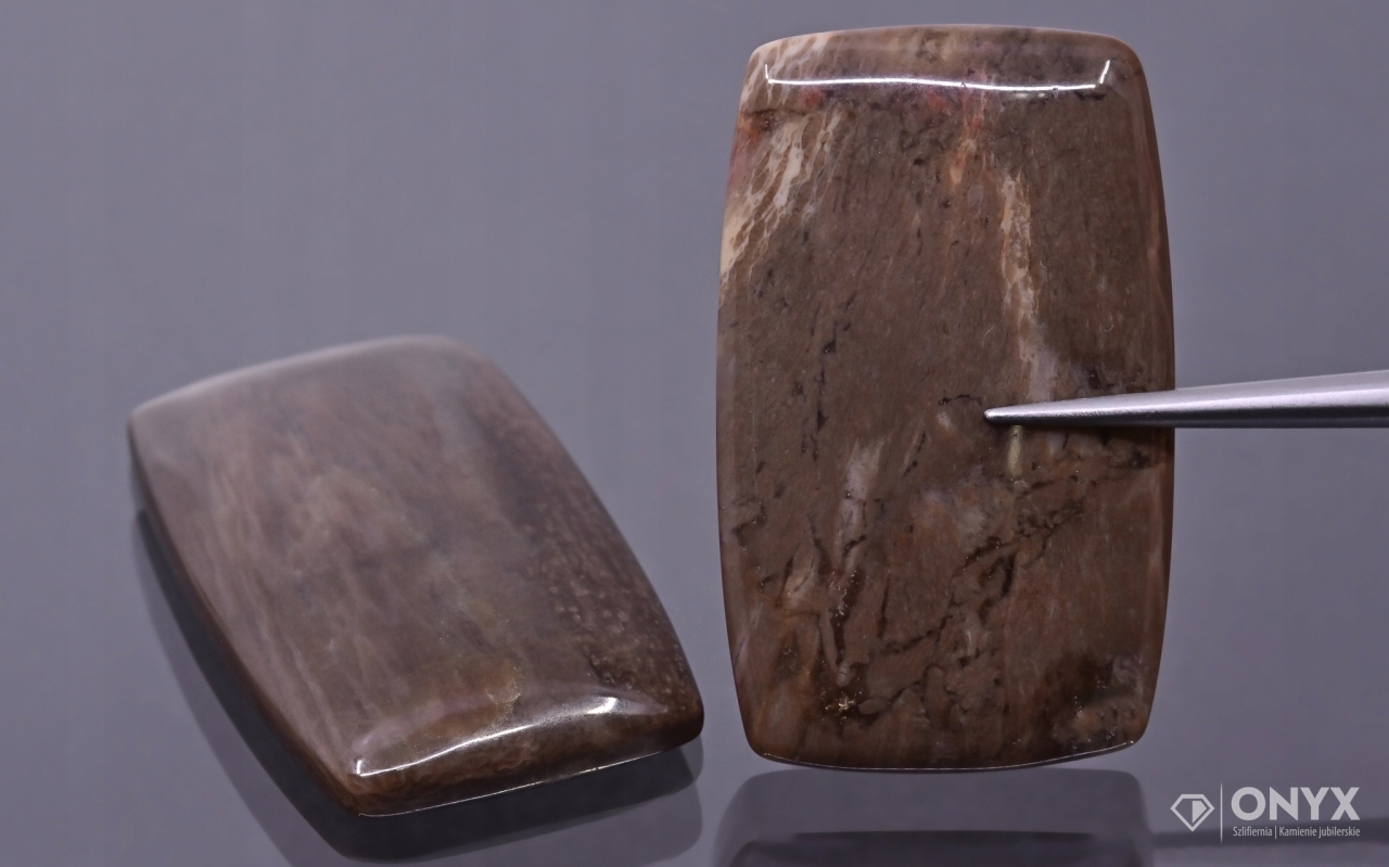 Zkamenělé dřevo nízký kabošon cushion 33x20 mm