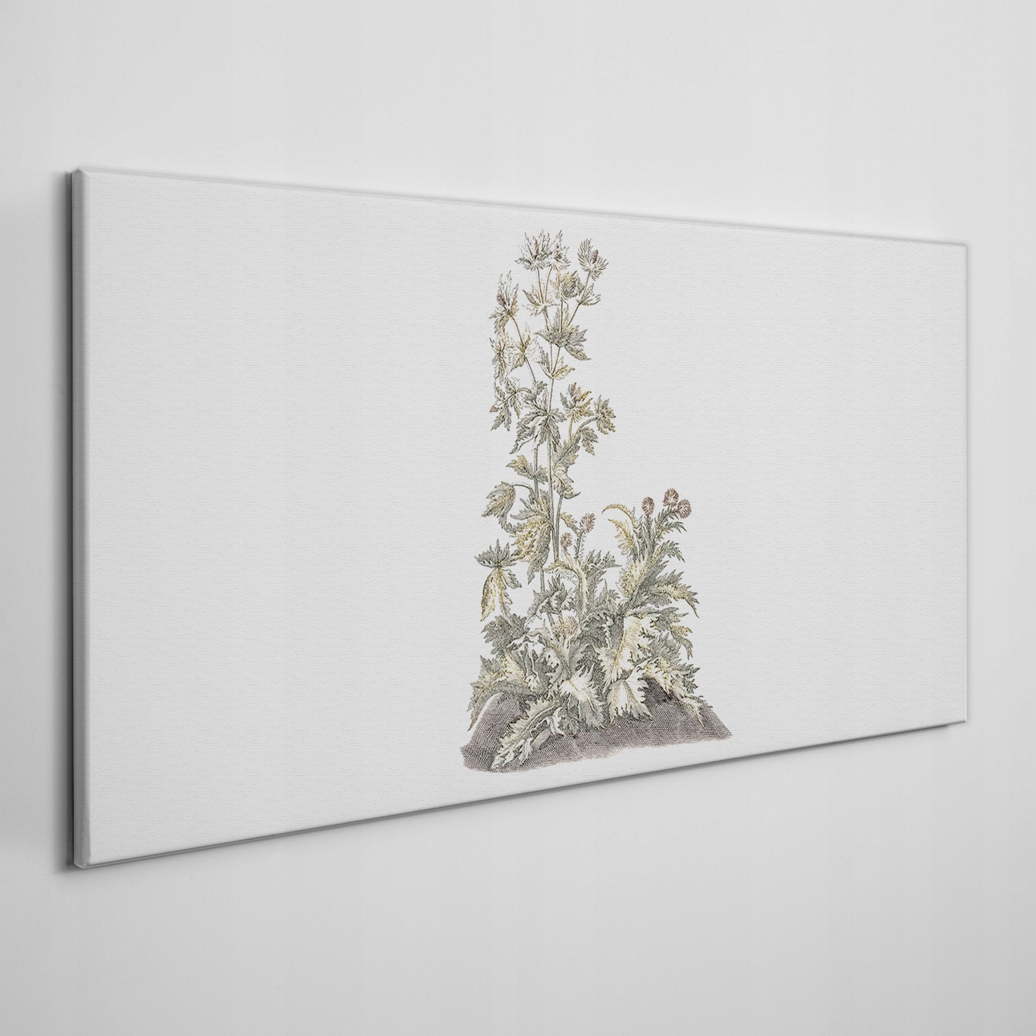 

Obraz ścienny na płótnie Kwiaty rośliny 100x50 cm
