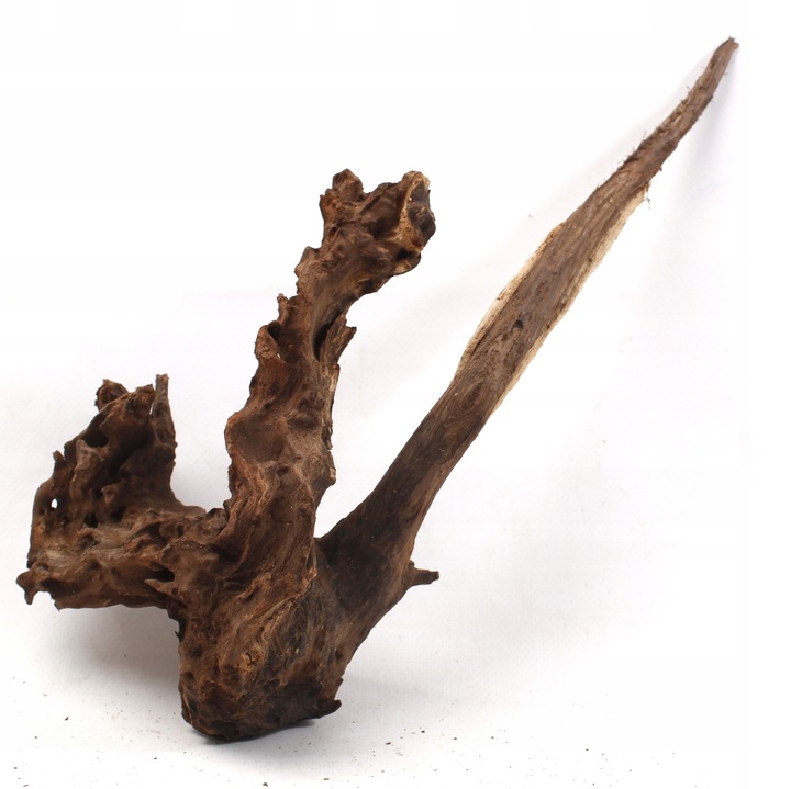 Levně Kořen Mangrovec Plant 20-25 cm přírodní pro akvárium nebo terárium