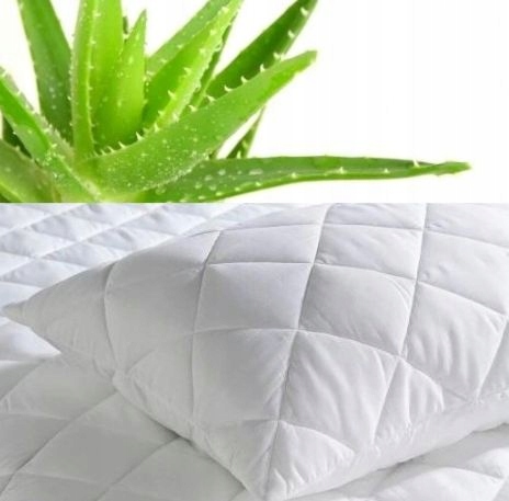 

Poduszka Wendre Aloe Vera 70x80 cm Aloes Delikatna