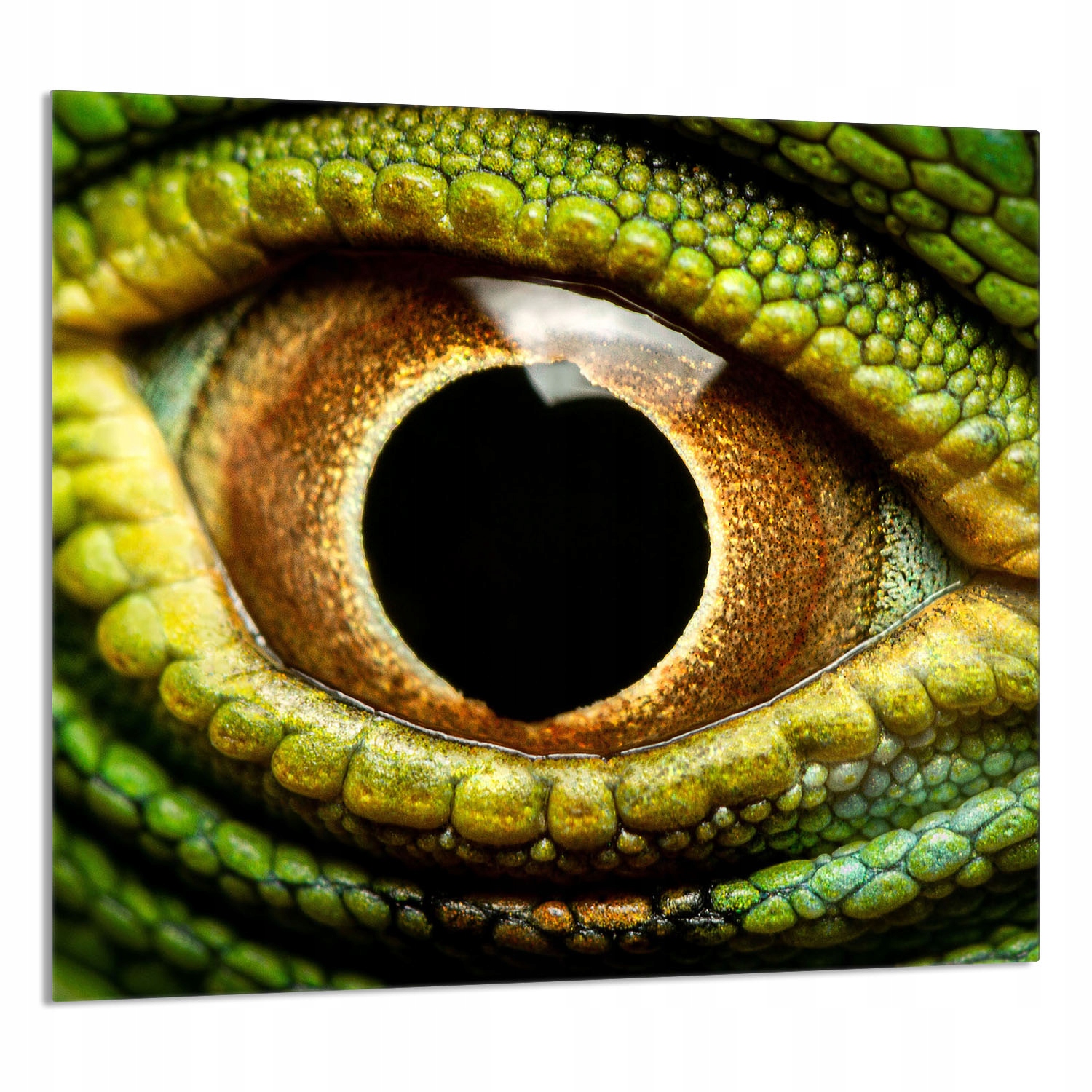 Skleněný Panel Do Kuchyně 65x60 Oko Tvrzené Sklo