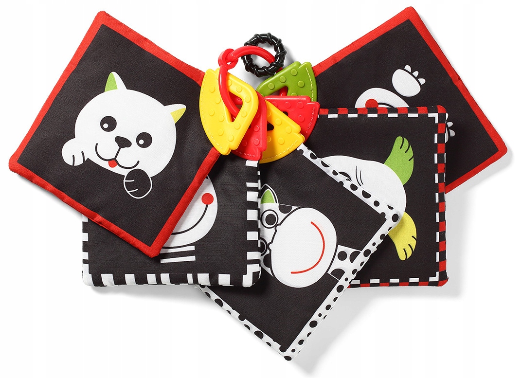 

Babyono Karty edukacyjne C-more Kontrastowe