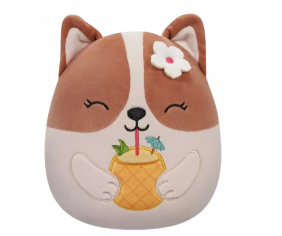 Squishmallows Regina Pies Corgi Maskotka Pluszak 19 cm