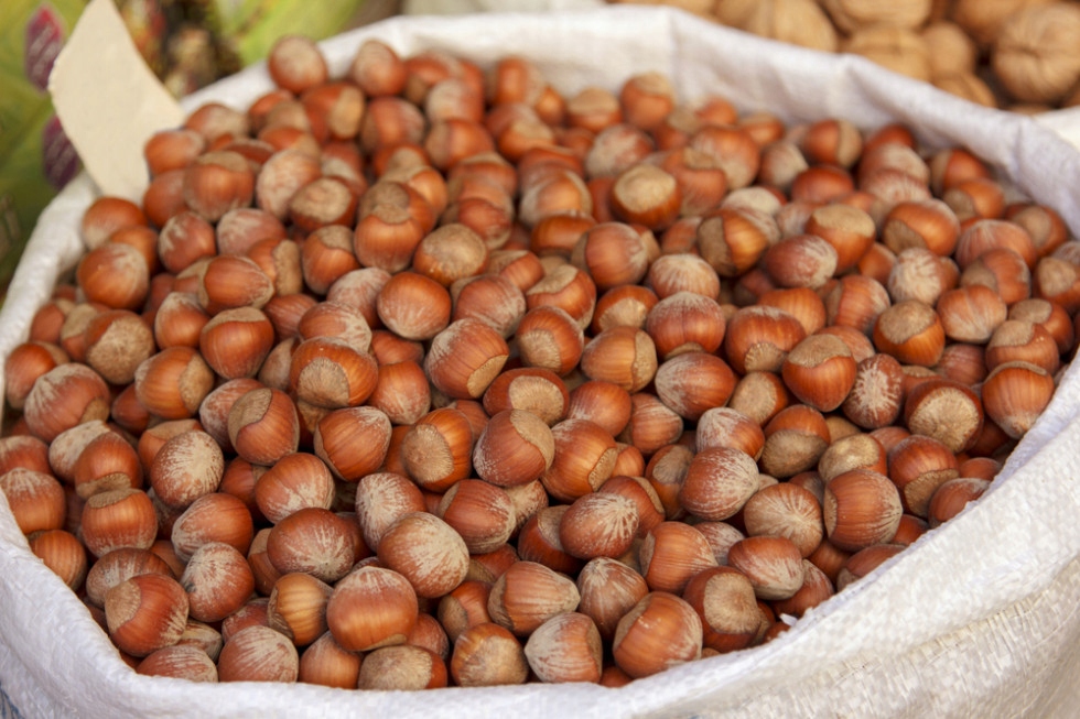 Levně Čerstvé Lískové Ořechy V Skořápce 5 Kg Polské 2025