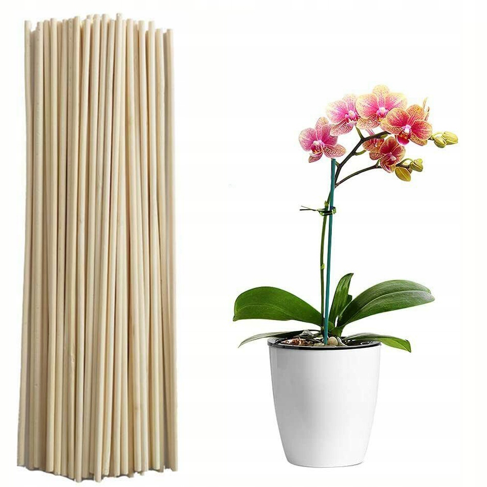 

Tyczki Bambusowe podpory do storczyków 35cm/10szt.