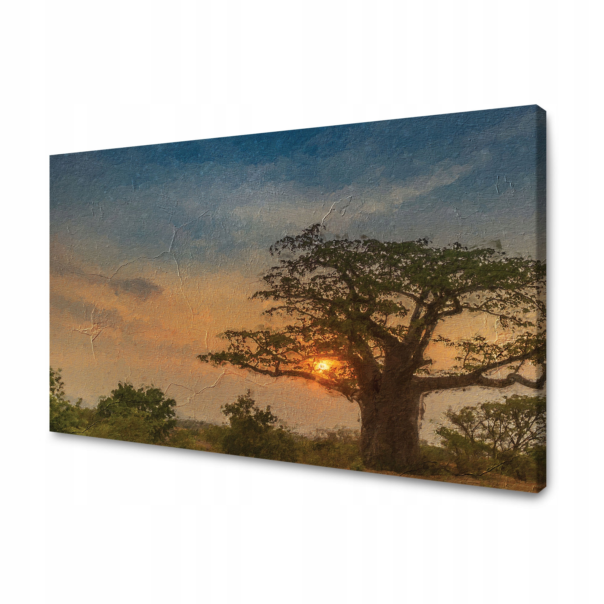 Obraz na plátně Zapadající slunce na Savaně 90x60 cm