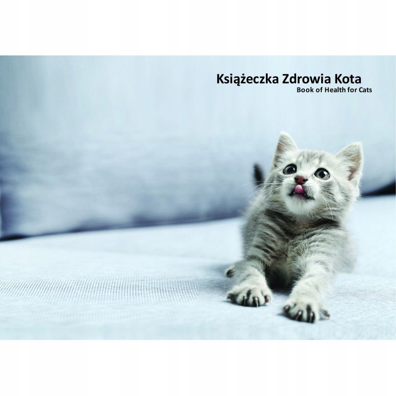 

Książeczka zdrowia kota popielate kociątko