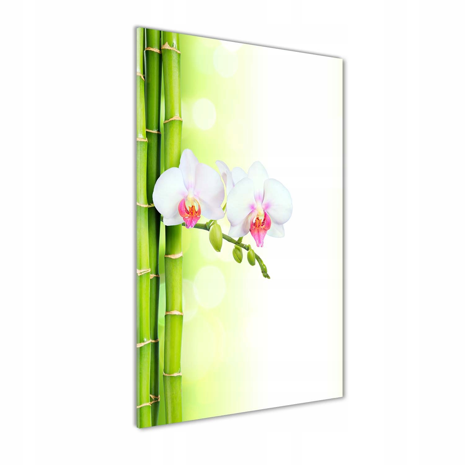 

Foto obraz na szkle Orchidea i bambus 60x120 cm