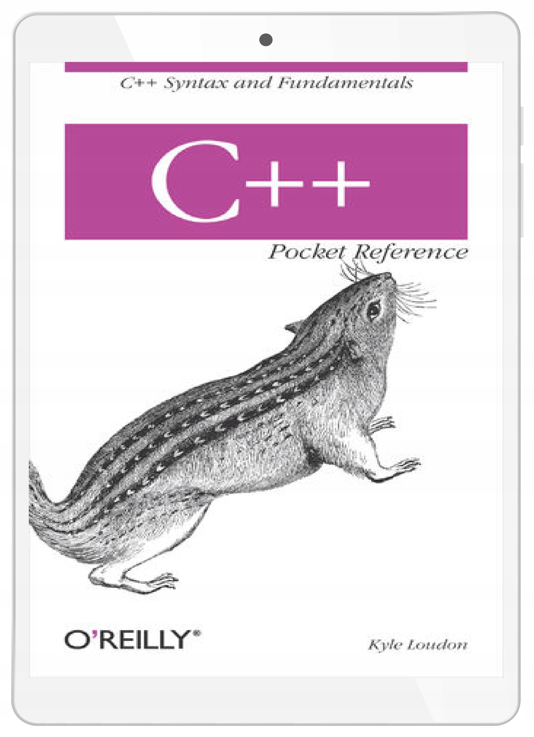 C++ Pocket Reference. C++ Syntax and Fundamentals
