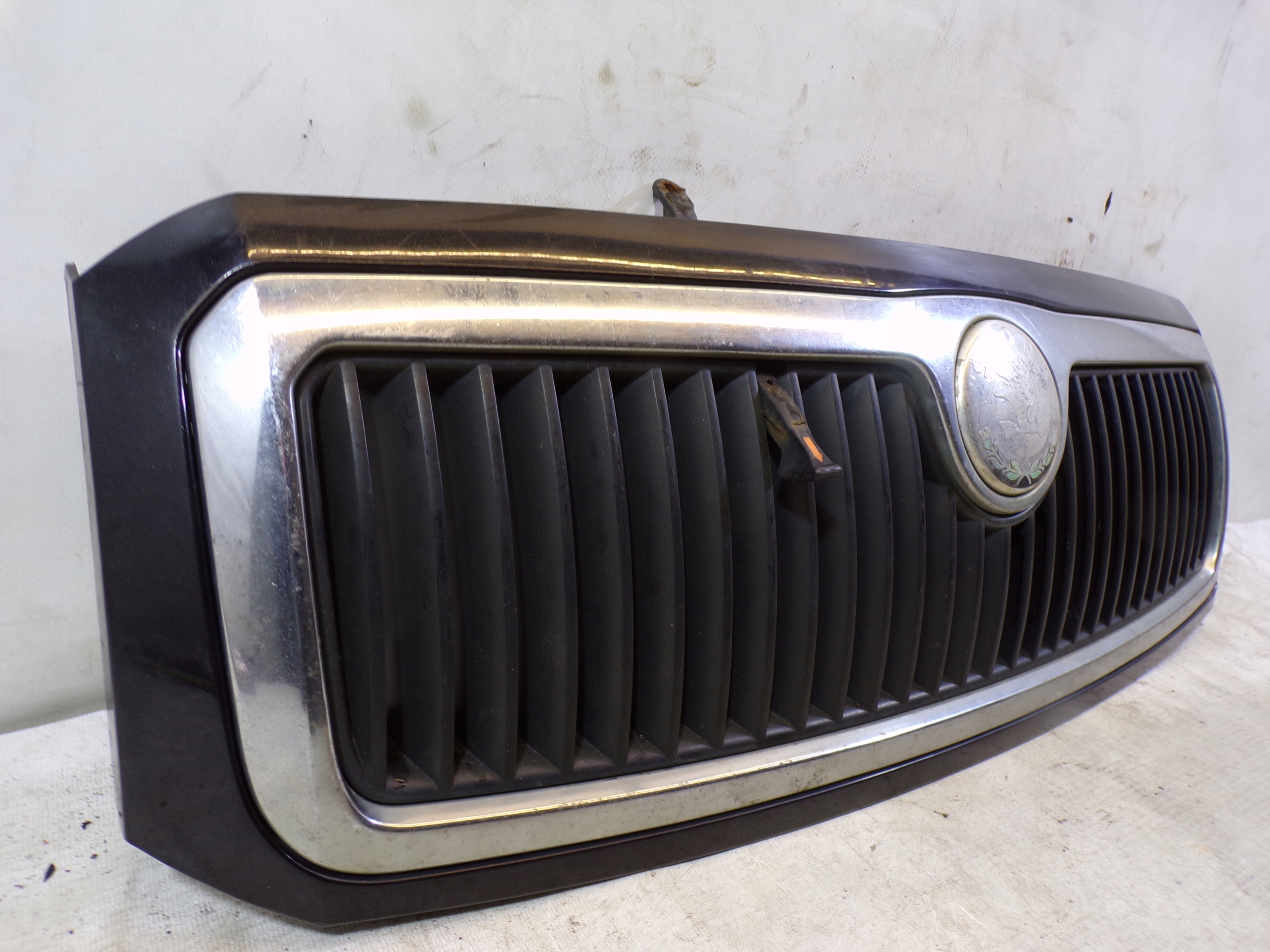 Griglia GRIGLIA radiatore SKODA FABIA 1 e colore 1F9R