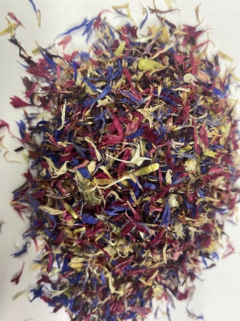 Levně Chrpa Modrá Mix 4 Barvy 1 Kg Rafex