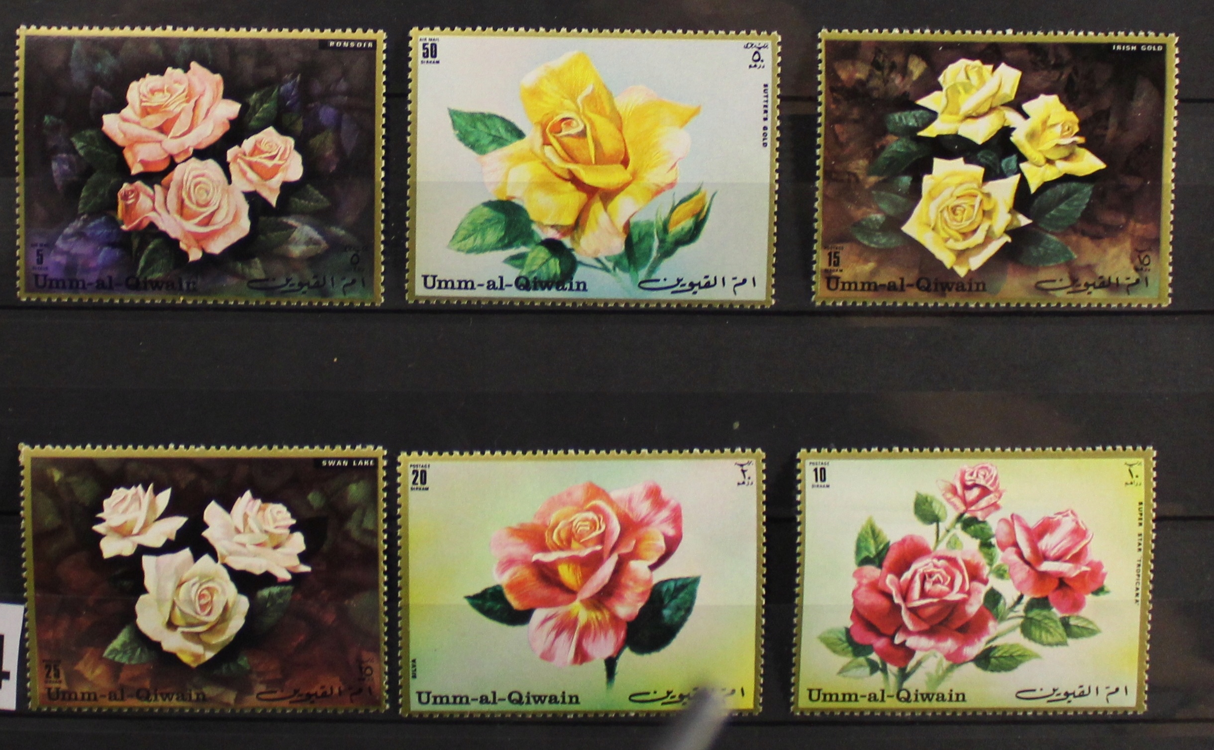 Umm Al Qiwain kwiaty flora PL3.14 czyste