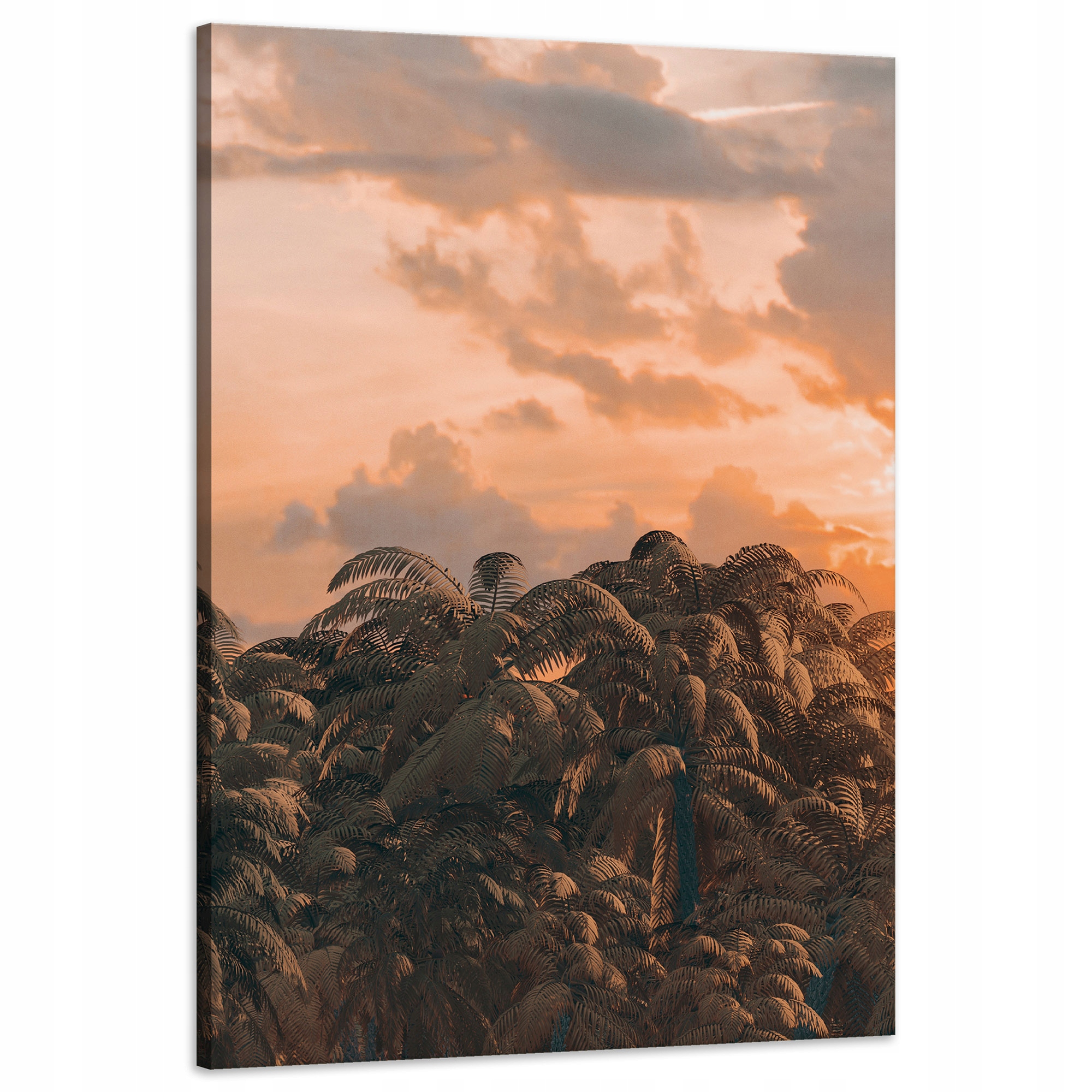 Obraz na plátně Stromy Západ Slunce Mraky Nebe 60x90 cm